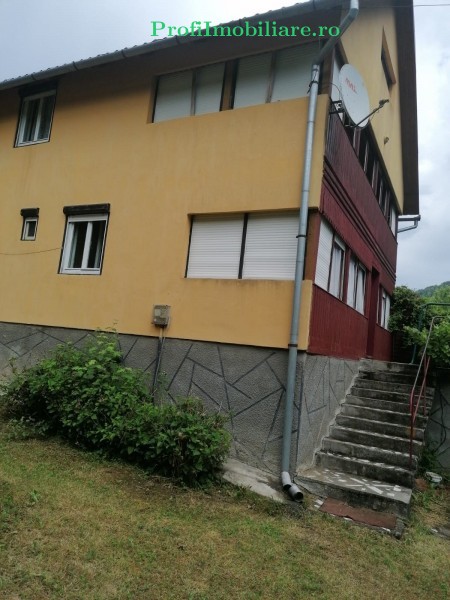 Vila P+1 casa de vacanta in Statiunea Moneasa